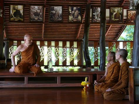  Essence of Dhamma: An Intriguing Journey Through Thai Buddhist Thought!